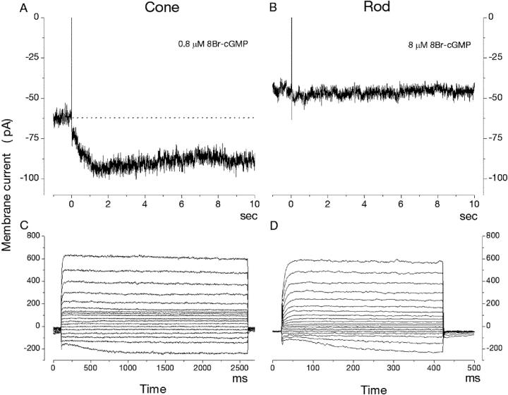 https://cdn.ncbi.nlm.nih.gov/pmc/blobs/1715/2217411/c49d279e2b1c/200308952f3.jpg