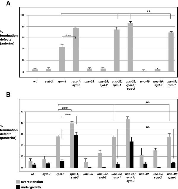 https://cdn.ncbi.nlm.nih.gov/pmc/blobs/1717/4077836/67a78b749176/1749-8104-9-10-8.jpg