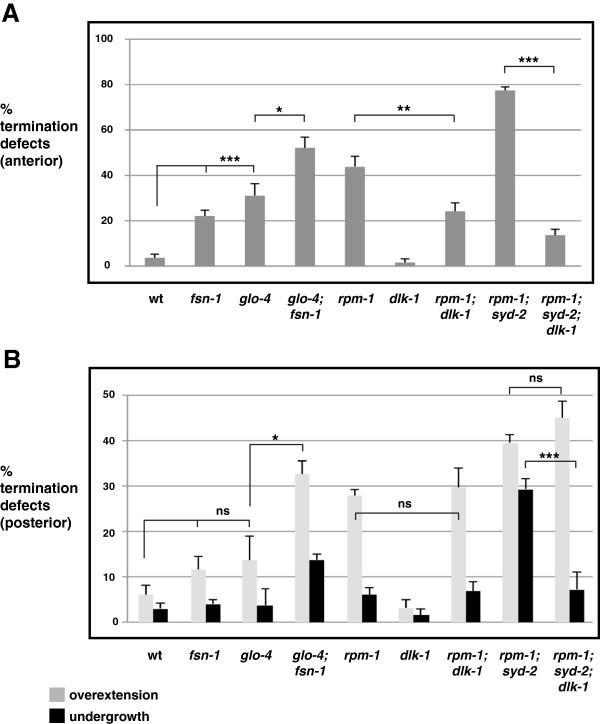 https://cdn.ncbi.nlm.nih.gov/pmc/blobs/1717/4077836/71bcc24f2b02/1749-8104-9-10-5.jpg