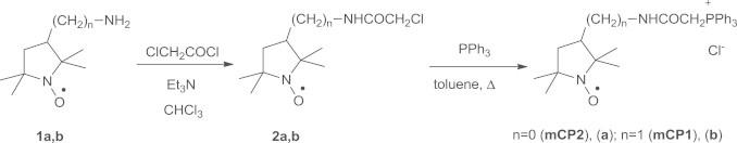 https://cdn.ncbi.nlm.nih.gov/pmc/blobs/171a/4326181/d1ccd380af16/gr2.jpg