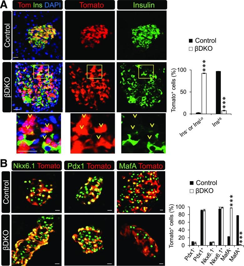 https://cdn.ncbi.nlm.nih.gov/pmc/blobs/171c/6702633/5cd249d82985/db190349f6.jpg