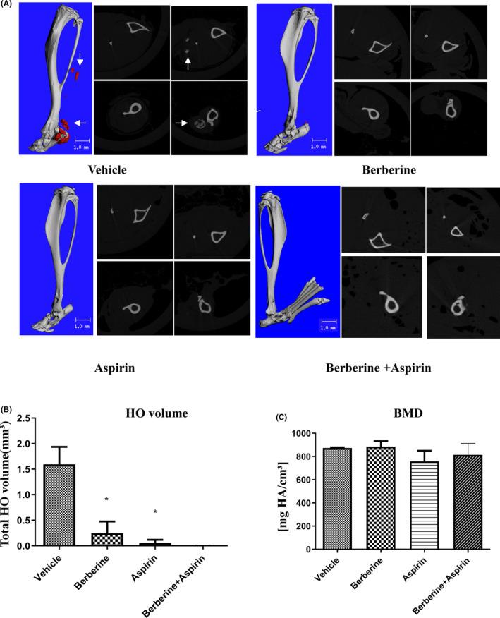 https://cdn.ncbi.nlm.nih.gov/pmc/blobs/171d/10660630/ebeb32da5870/JCMM-27-3491-g004.jpg