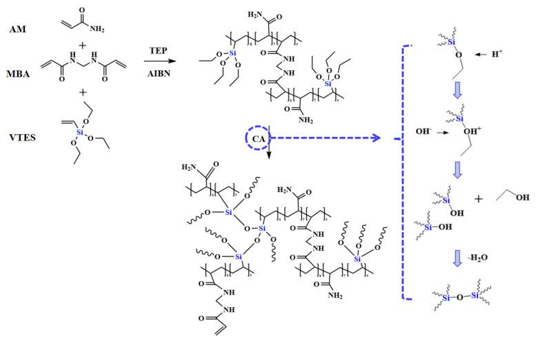 https://cdn.ncbi.nlm.nih.gov/pmc/blobs/171d/11053467/1850a101c5c9/polymers-16-01154-g001.jpg