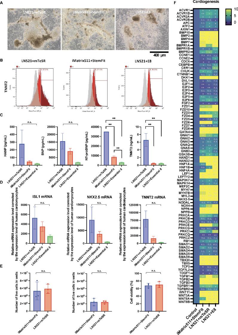 https://cdn.ncbi.nlm.nih.gov/pmc/blobs/171d/12319073/74599e5092b3/41598_2025_13259_Fig3_HTML.jpg