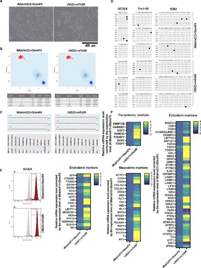 https://cdn.ncbi.nlm.nih.gov/pmc/blobs/171d/12319073/8372d3ba1b82/41598_2025_13259_Fig1_HTML.jpg
