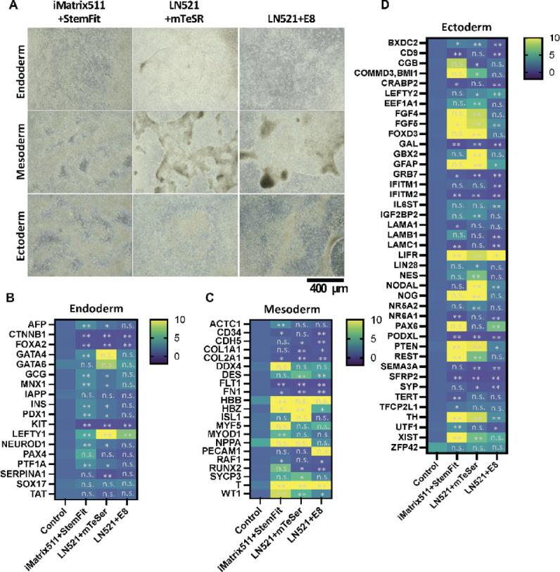 https://cdn.ncbi.nlm.nih.gov/pmc/blobs/171d/12319073/8bcc864824f2/41598_2025_13259_Fig2_HTML.jpg