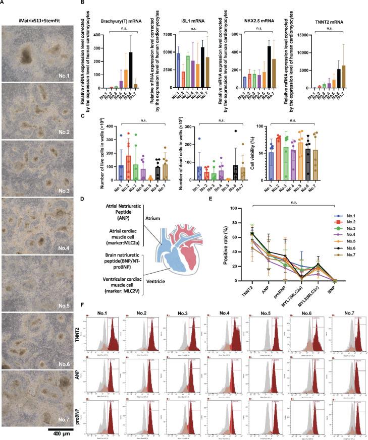 https://cdn.ncbi.nlm.nih.gov/pmc/blobs/171d/12319073/a1595688de83/41598_2025_13259_Fig6_HTML.jpg