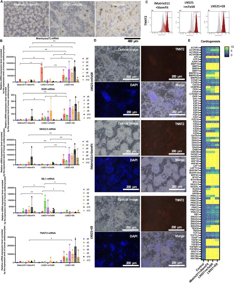 https://cdn.ncbi.nlm.nih.gov/pmc/blobs/171d/12319073/e087a8e3222e/41598_2025_13259_Fig4_HTML.jpg
