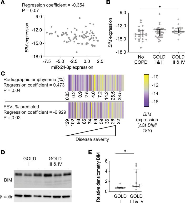 https://cdn.ncbi.nlm.nih.gov/pmc/blobs/171f/7934877/96b411858760/jciinsight-6-134218-g054.jpg