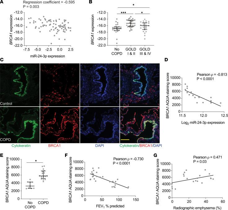 https://cdn.ncbi.nlm.nih.gov/pmc/blobs/171f/7934877/cc233341916d/jciinsight-6-134218-g055.jpg