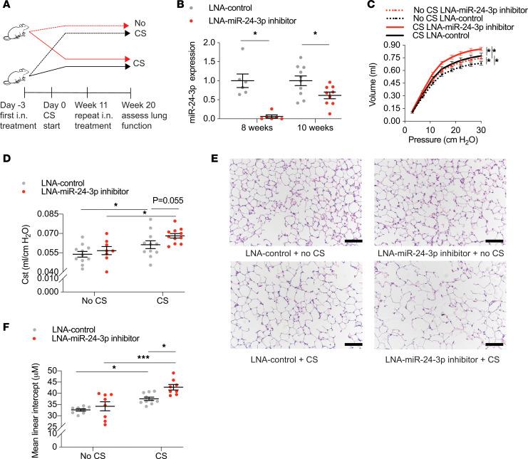 https://cdn.ncbi.nlm.nih.gov/pmc/blobs/171f/7934877/df4a33a058d9/jciinsight-6-134218-g050.jpg