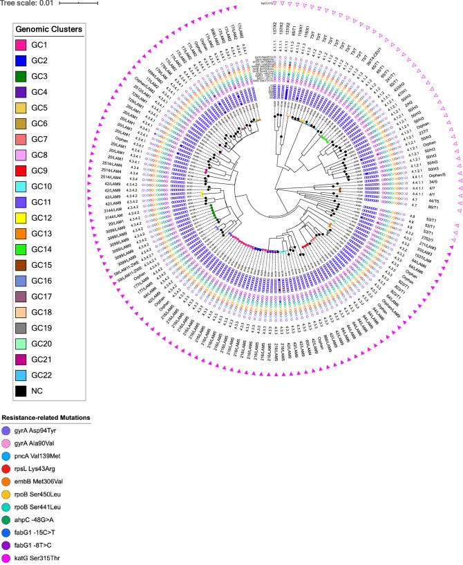 https://cdn.ncbi.nlm.nih.gov/pmc/blobs/1720/7393130/5bb9d544a6b3/41598_2020_69755_Fig1_HTML.jpg