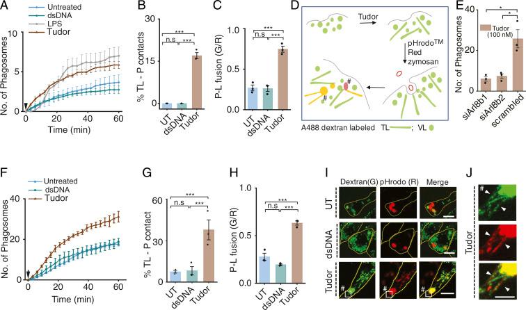 https://cdn.ncbi.nlm.nih.gov/pmc/blobs/1720/8522270/0c3fb6232d42/pnas.2113174118fig05.jpg