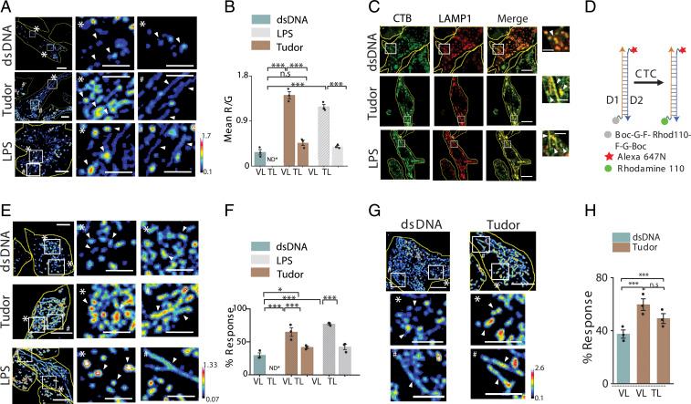 https://cdn.ncbi.nlm.nih.gov/pmc/blobs/1720/8522270/533729d68fc7/pnas.2113174118fig03.jpg