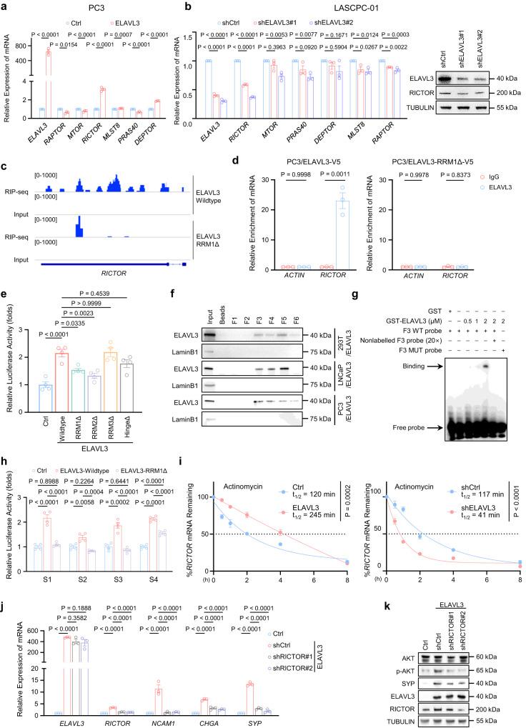 https://cdn.ncbi.nlm.nih.gov/pmc/blobs/1721/10684895/60086cb563d7/41467_2023_43676_Fig5_HTML.jpg