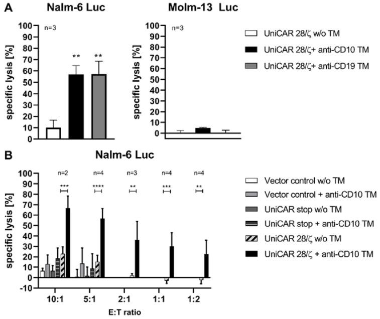 https://cdn.ncbi.nlm.nih.gov/pmc/blobs/1722/9105388/77e96787253f/ijms-23-04920-g003.jpg