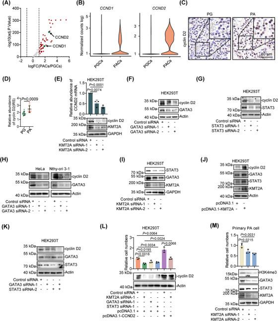 https://cdn.ncbi.nlm.nih.gov/pmc/blobs/1723/11185127/199a6765facf/CTM2-14-e1734-g006.jpg