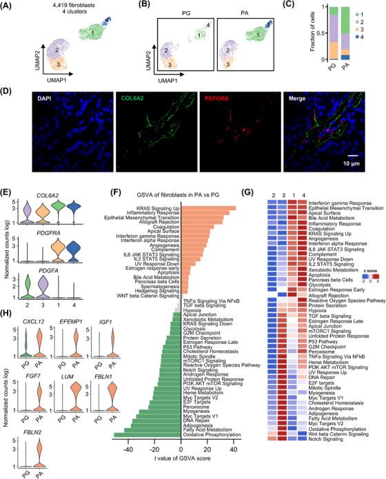 https://cdn.ncbi.nlm.nih.gov/pmc/blobs/1723/11185127/2254963e0ec7/CTM2-14-e1734-g009.jpg