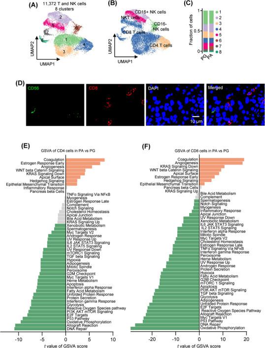 https://cdn.ncbi.nlm.nih.gov/pmc/blobs/1723/11185127/509d1c8c246c/CTM2-14-e1734-g007.jpg
