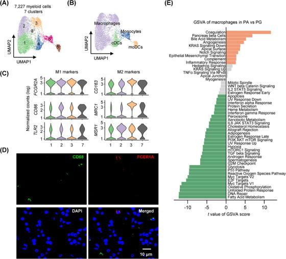 https://cdn.ncbi.nlm.nih.gov/pmc/blobs/1723/11185127/7a532629c05a/CTM2-14-e1734-g008.jpg