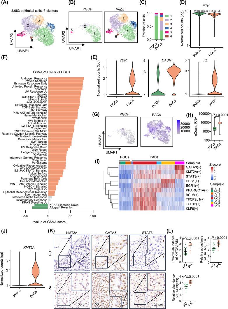 https://cdn.ncbi.nlm.nih.gov/pmc/blobs/1723/11185127/a2a833075b2d/CTM2-14-e1734-g005.jpg