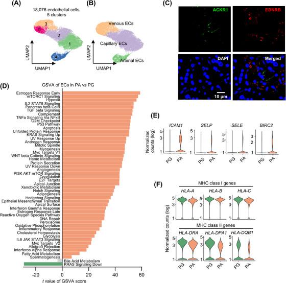 https://cdn.ncbi.nlm.nih.gov/pmc/blobs/1723/11185127/bb07df7d8e53/CTM2-14-e1734-g001.jpg