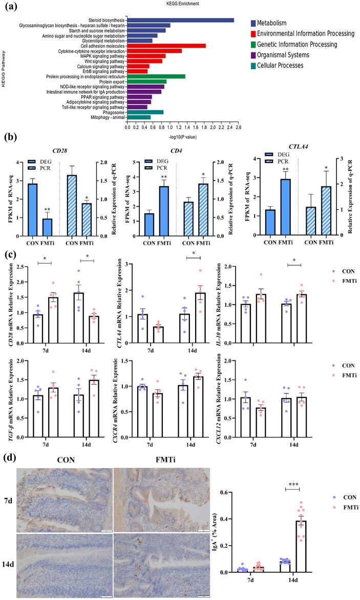 https://cdn.ncbi.nlm.nih.gov/pmc/blobs/1726/11266578/1aacd6e8a956/41598_2024_67881_Fig7_HTML.jpg