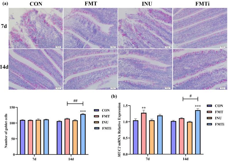 https://cdn.ncbi.nlm.nih.gov/pmc/blobs/1726/11266578/6c9b877ebac4/41598_2024_67881_Fig2_HTML.jpg