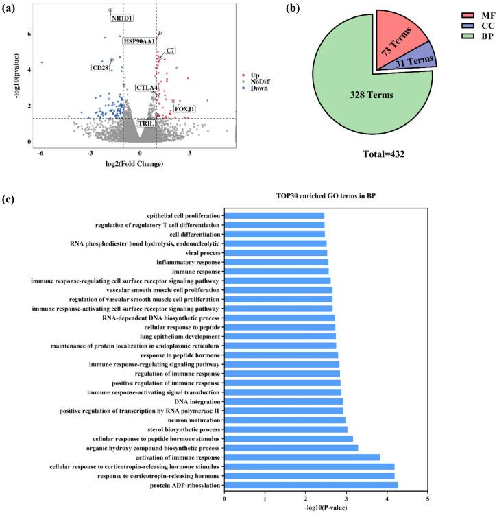 https://cdn.ncbi.nlm.nih.gov/pmc/blobs/1726/11266578/8b4d4fbfeaa2/41598_2024_67881_Fig5_HTML.jpg