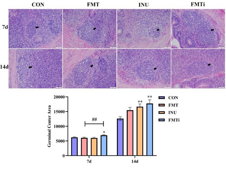 https://cdn.ncbi.nlm.nih.gov/pmc/blobs/1726/11266578/9c9d5447fd01/41598_2024_67881_Fig3_HTML.jpg