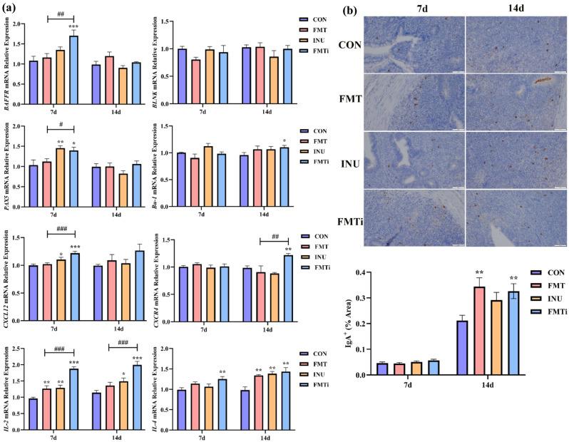 https://cdn.ncbi.nlm.nih.gov/pmc/blobs/1726/11266578/9fe897f49fcf/41598_2024_67881_Fig4_HTML.jpg
