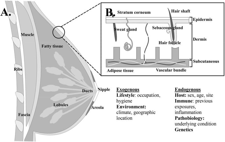 https://cdn.ncbi.nlm.nih.gov/pmc/blobs/1727/8335652/86fdefaddd46/gr1.jpg