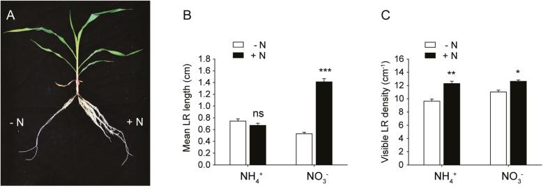https://cdn.ncbi.nlm.nih.gov/pmc/blobs/1729/7382388/242385779e8f/eraa116f0001.jpg