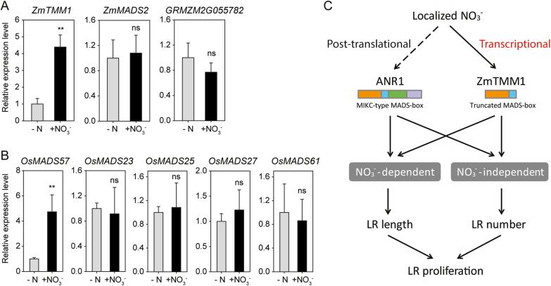 https://cdn.ncbi.nlm.nih.gov/pmc/blobs/1729/7382388/332808824a32/eraa116f0008.jpg