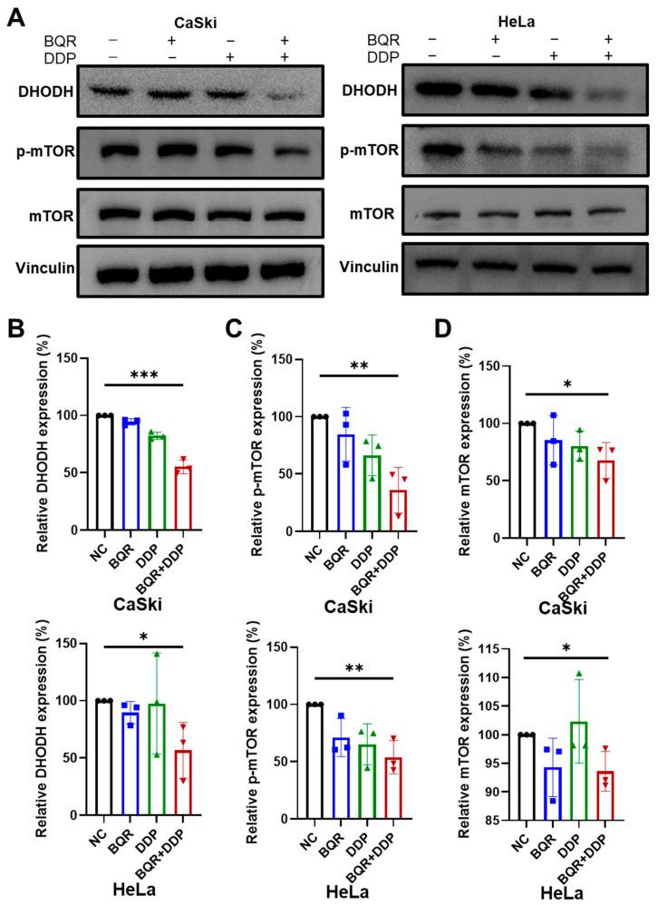 https://cdn.ncbi.nlm.nih.gov/pmc/blobs/172a/9856746/c508e3e22d18/cancers-15-00546-g005.jpg