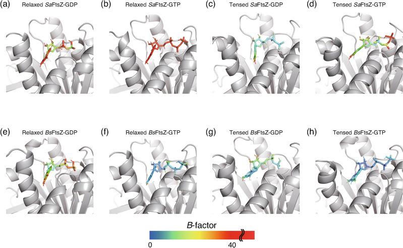 https://cdn.ncbi.nlm.nih.gov/pmc/blobs/172b/11239868/4bb1ac2503e7/41598_2024_66763_Fig5_HTML.jpg
