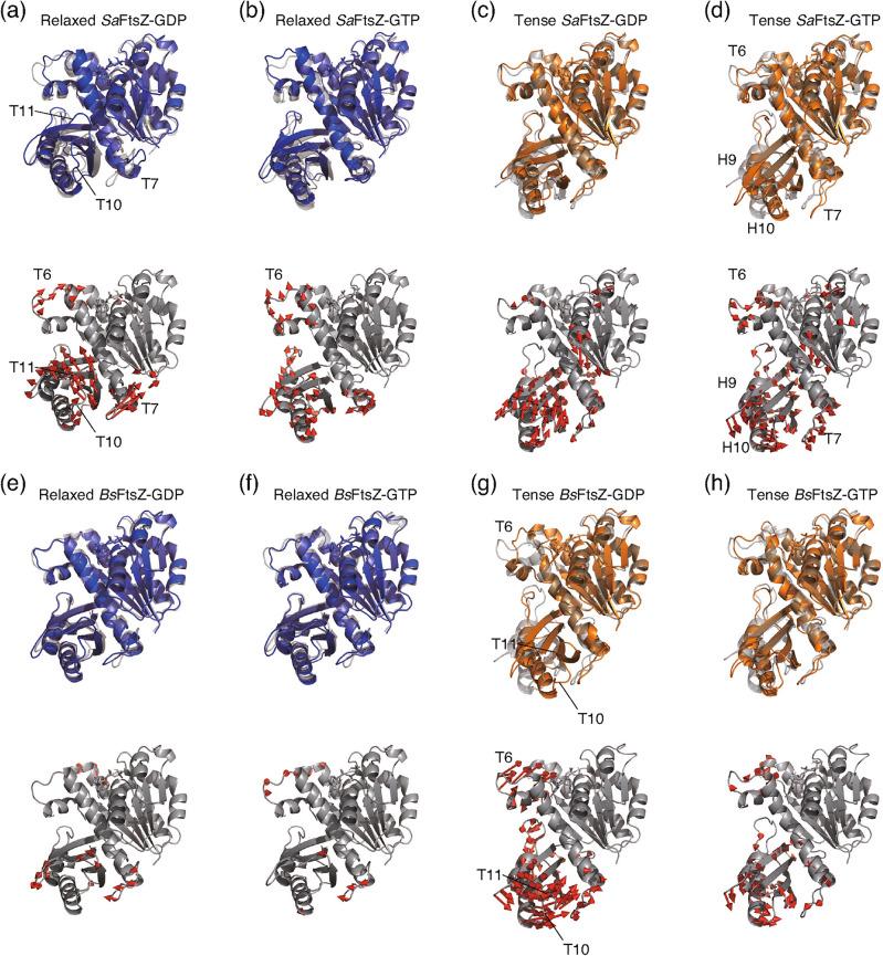 https://cdn.ncbi.nlm.nih.gov/pmc/blobs/172b/11239868/d9f72a986bbe/41598_2024_66763_Fig3_HTML.jpg