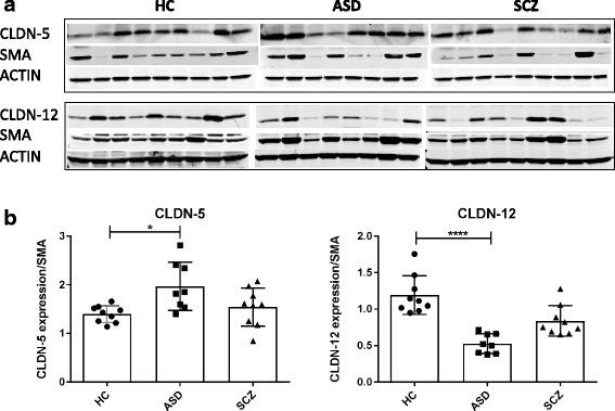 https://cdn.ncbi.nlm.nih.gov/pmc/blobs/172b/5129651/a74c664b8e44/13229_2016_110_Fig5_HTML.jpg