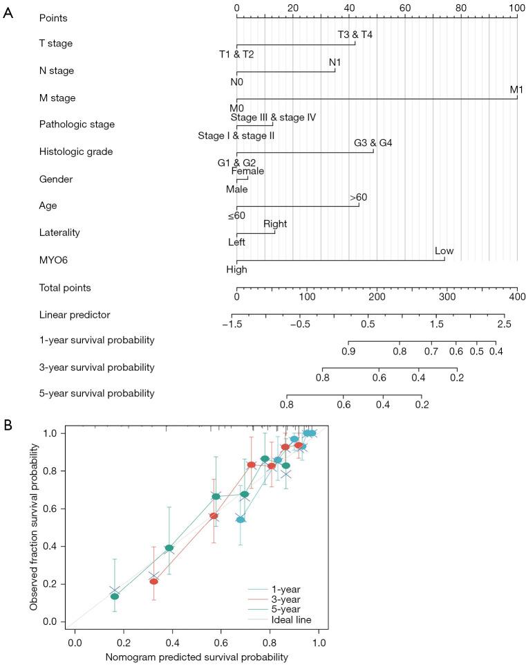 https://cdn.ncbi.nlm.nih.gov/pmc/blobs/172c/10493793/465a7acc629e/tcr-12-08-2071-f7.jpg
