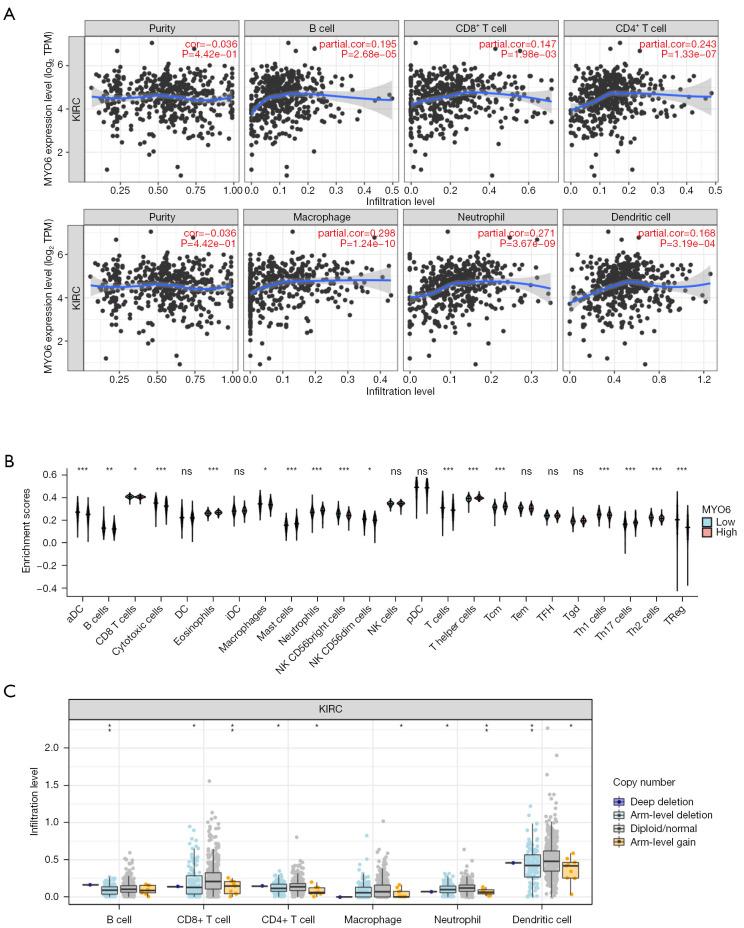 https://cdn.ncbi.nlm.nih.gov/pmc/blobs/172c/10493793/666555c7a5a0/tcr-12-08-2071-f11.jpg