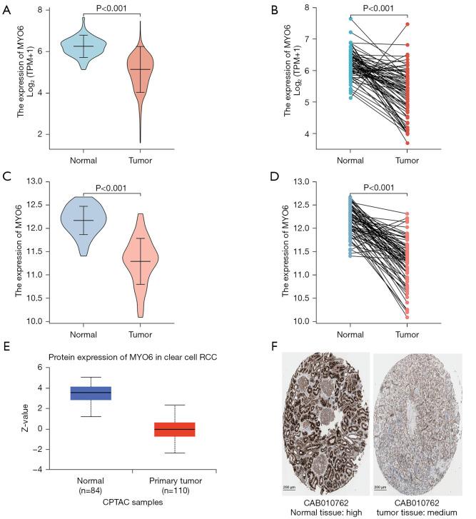 https://cdn.ncbi.nlm.nih.gov/pmc/blobs/172c/10493793/c737aeb16211/tcr-12-08-2071-f2.jpg