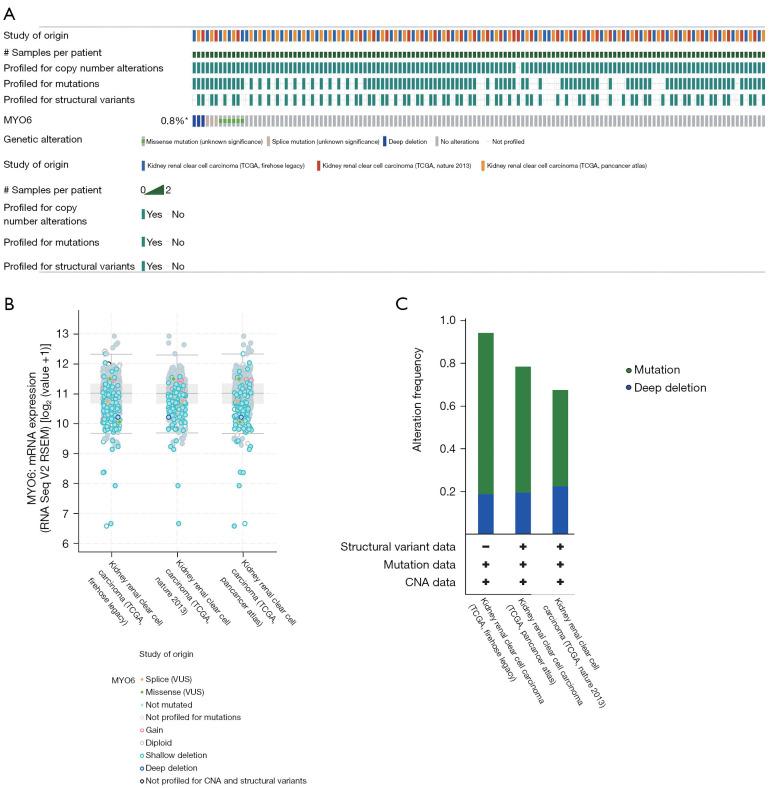 https://cdn.ncbi.nlm.nih.gov/pmc/blobs/172c/10493793/f530f355de31/tcr-12-08-2071-f9.jpg