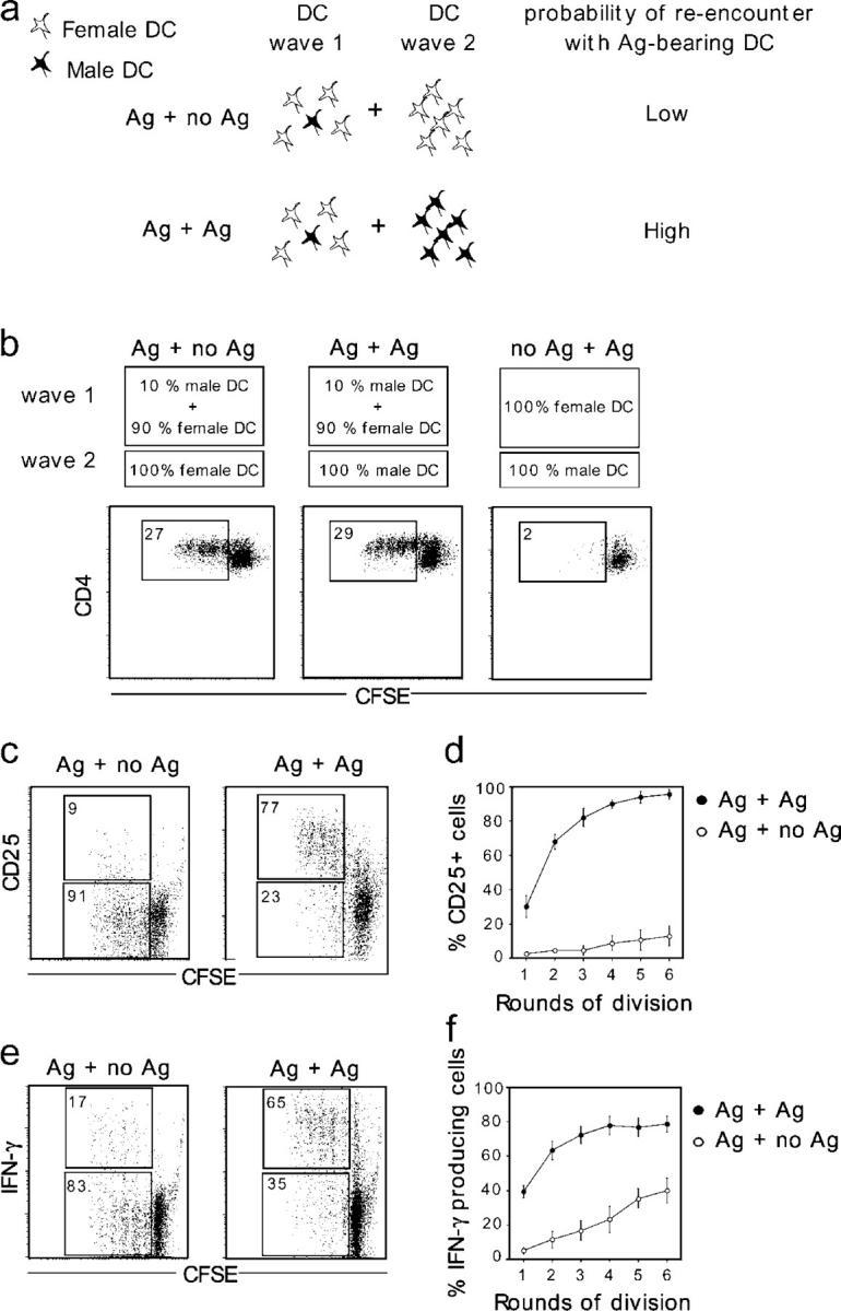 https://cdn.ncbi.nlm.nih.gov/pmc/blobs/172e/2213240/f4a18ecc3241/20051018f6.jpg