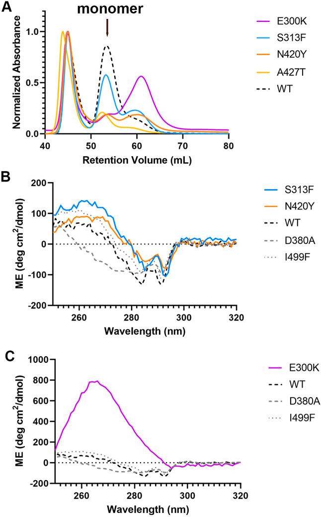 https://cdn.ncbi.nlm.nih.gov/pmc/blobs/172e/9844228/65f53455ee7b/dmm-16-049816-g4.jpg