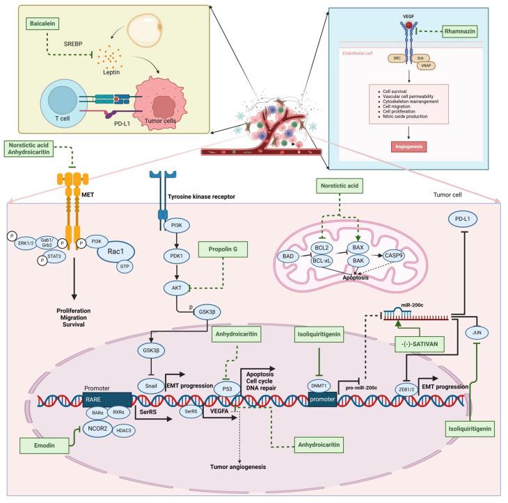 https://cdn.ncbi.nlm.nih.gov/pmc/blobs/172f/11944566/bc1b6aed77e0/molecules-30-01201-g003.jpg