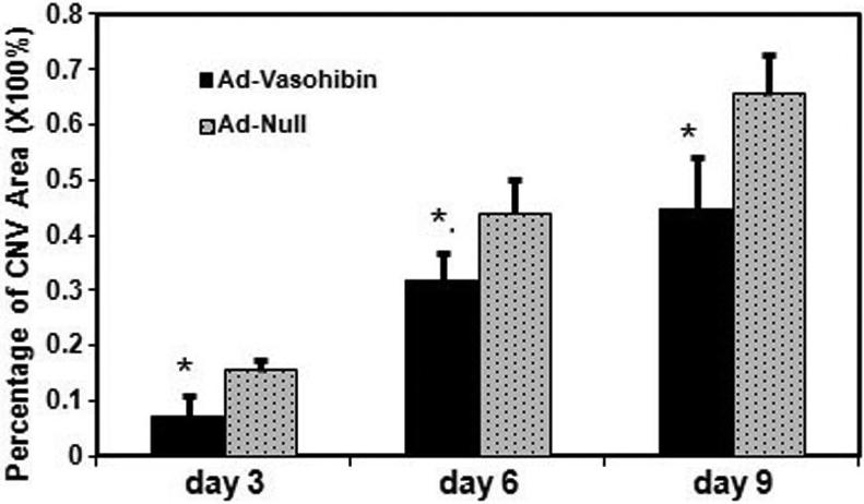 https://cdn.ncbi.nlm.nih.gov/pmc/blobs/172f/2913137/0e99c231d38a/mv-v16-1389-f1.jpg