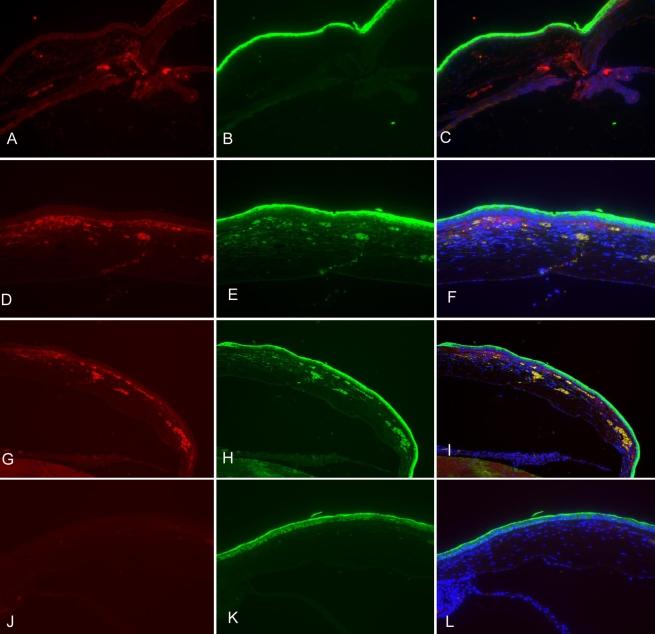 https://cdn.ncbi.nlm.nih.gov/pmc/blobs/172f/2913137/610f40eae62d/mv-v16-1389-f3.jpg