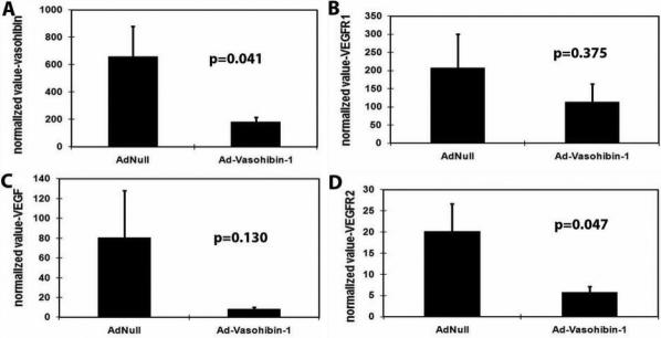 https://cdn.ncbi.nlm.nih.gov/pmc/blobs/172f/2913137/e15b0f8942d4/mv-v16-1389-f5.jpg