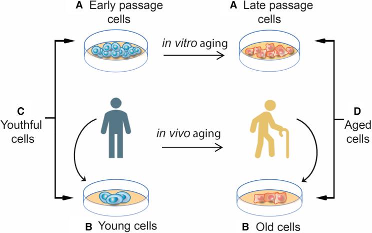 https://cdn.ncbi.nlm.nih.gov/pmc/blobs/172f/8072029/1c9275356561/gr2.jpg