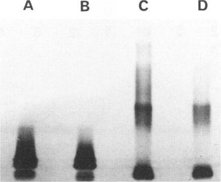 https://cdn.ncbi.nlm.nih.gov/pmc/blobs/1730/368195/124a51a7e871/cdli00001-0075-a.jpg